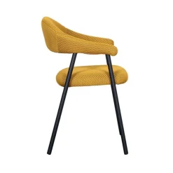 Eetkamerstoelen*HUUS Eetkamerstoel Amaze (per 2 stuks)