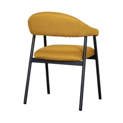 Eetkamerstoelen*HUUS Eetkamerstoel Amaze (per 2 stuks)