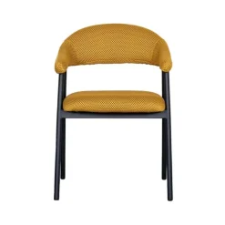 Eetkamerstoelen*HUUS Eetkamerstoel Amaze (per 2 stuks)