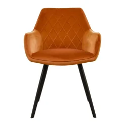 Eetkamerstoelen*HUUS Eetkamerstoel Karl Velvet Kick (per 2 stuks)